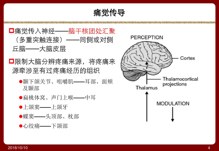 头痛与面部疼痛PPT