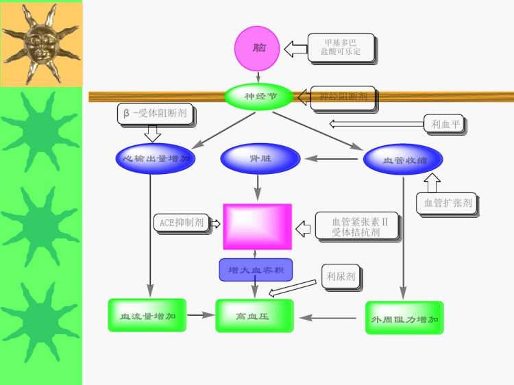 抗高血压药摘要PPT