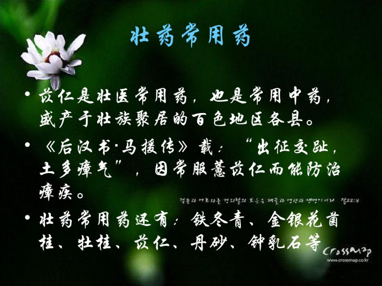 广西民族医药心得PPT