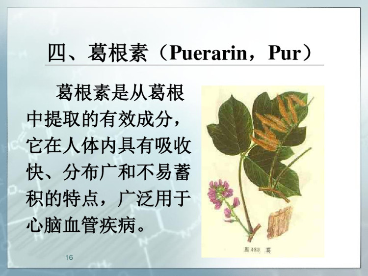 我国心脑血管药物探究进展PPT
