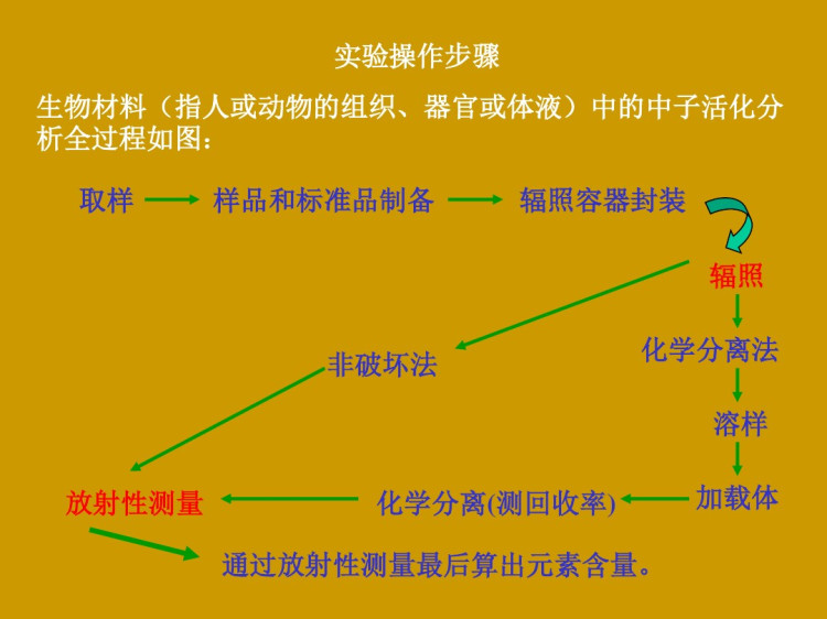 核医学活化分析指南PPT