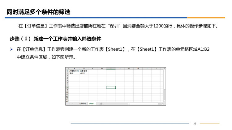 Ecel数据获取与处理项目筛选订单数据的关键信息PPT