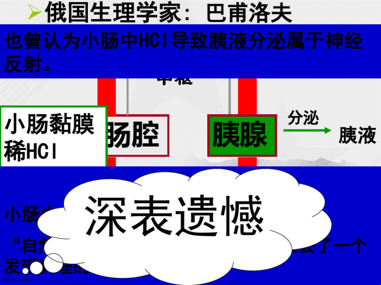 人教必修通过激素的调节PPT