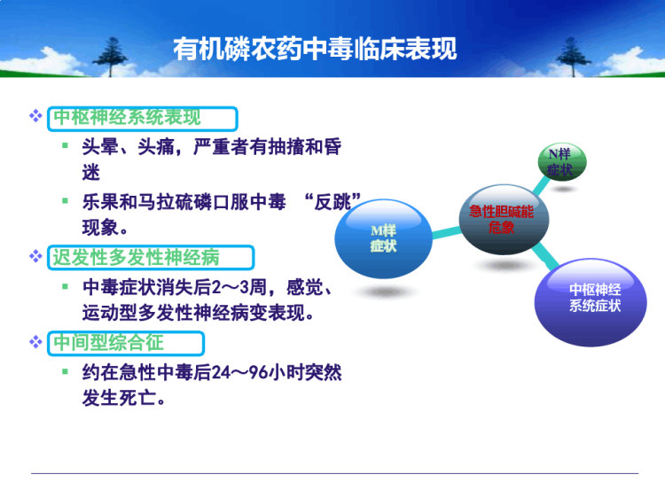 重症有机磷农药中毒血液净化治疗与护理PPT