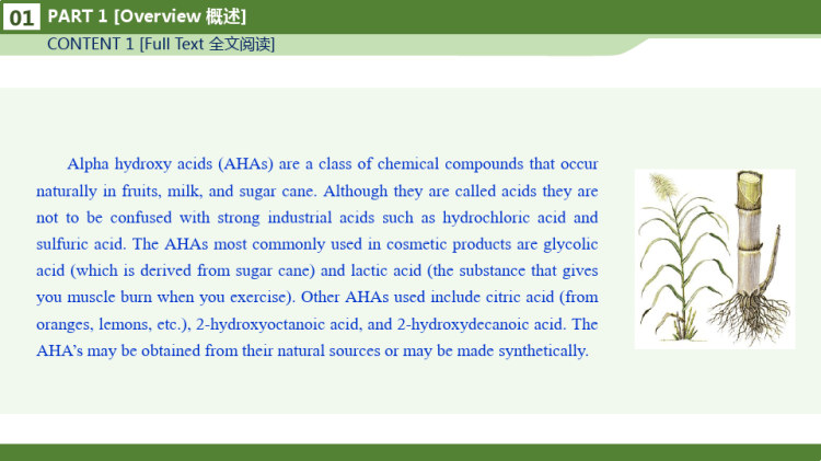 化妆品专业英语之AlphaHydroyAcids认识果酸PPT