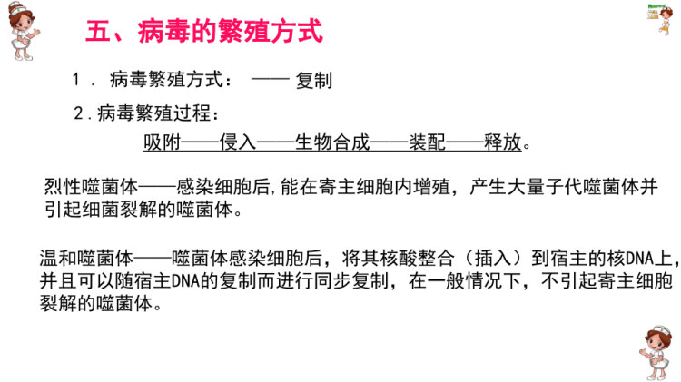 环境微生物之认识病毒PPT