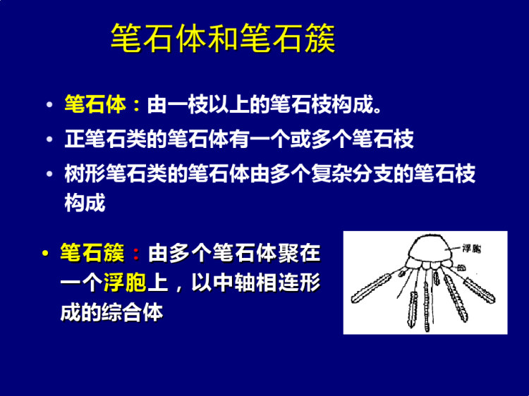 古生物之半索动物门笔石纲化石鉴定PPT