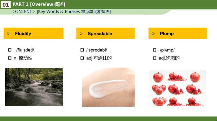 化妆品专业英语之Dimethicone认识聚二甲基硅氧烷PPT