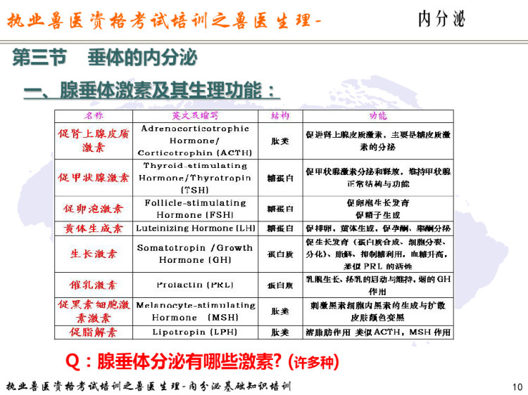 执业兽医资格考试培训之兽医生理之内分泌基础知识培训PPT