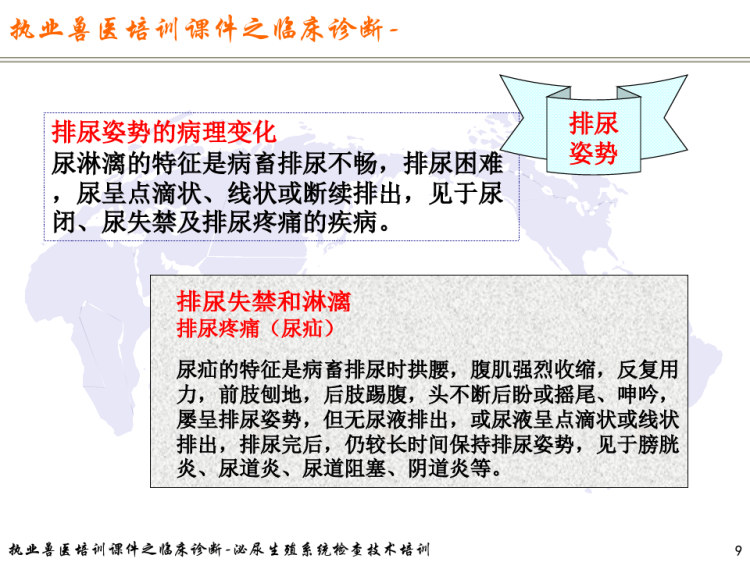 执业兽医培训之临床诊断之泌尿生殖系统检查技术培训PPT