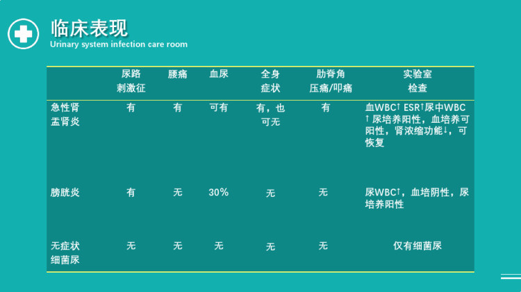 泌尿系统感染护理查房PPT