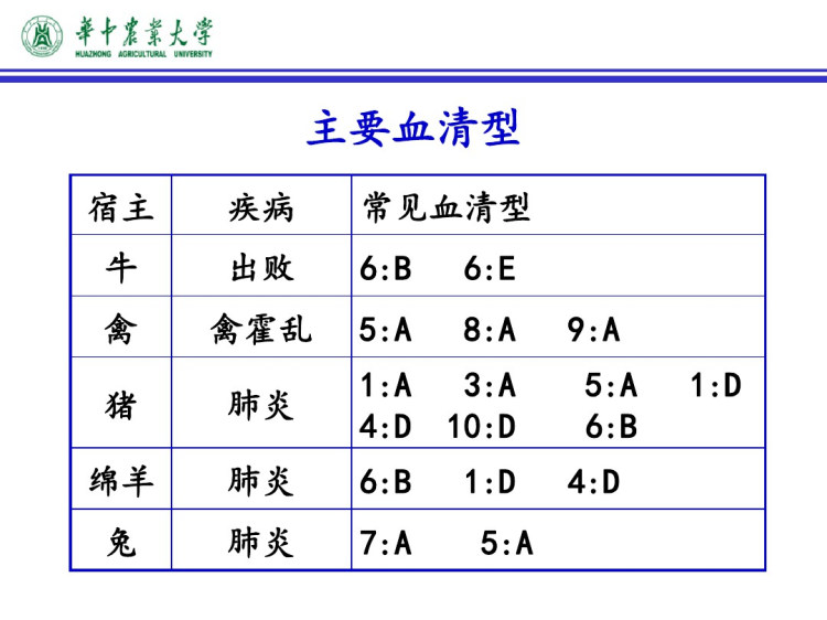 巴氏杆菌病PPT