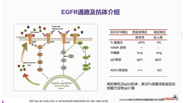 2022EGFR单抗在转移性结直肠癌的治疗进展PPT