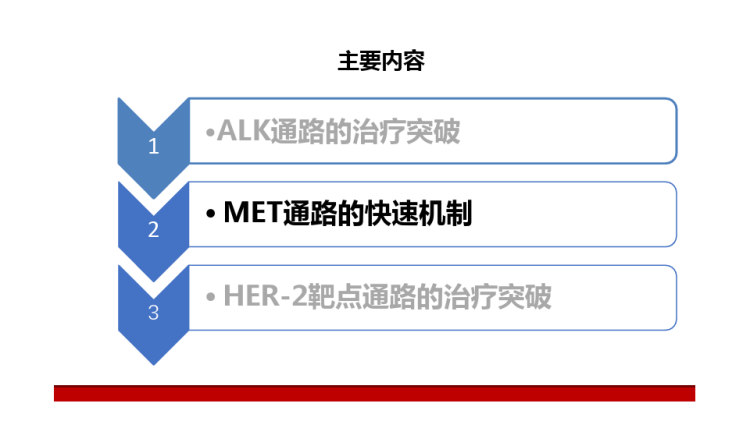 2020非小细胞肺癌少见突变的治疗全面突破PPT