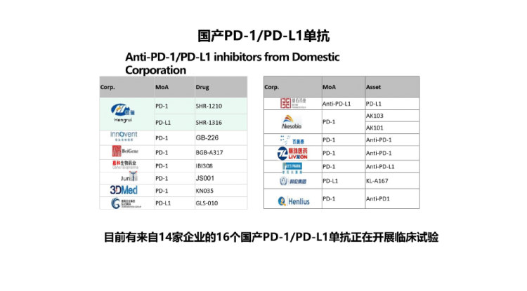 2021晚期胃癌免疫治疗进展PPT