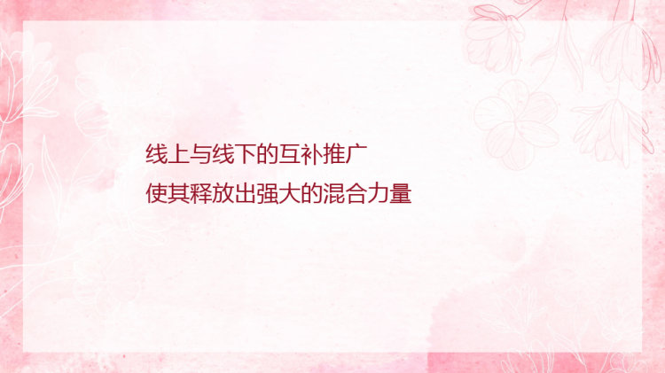 针对高端化妆品粉丝增长实施方案PPT