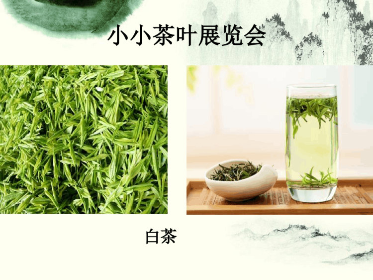 幼儿园社会教学《茶香》PPT