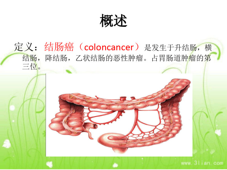 结肠癌病人的护理查房PPT