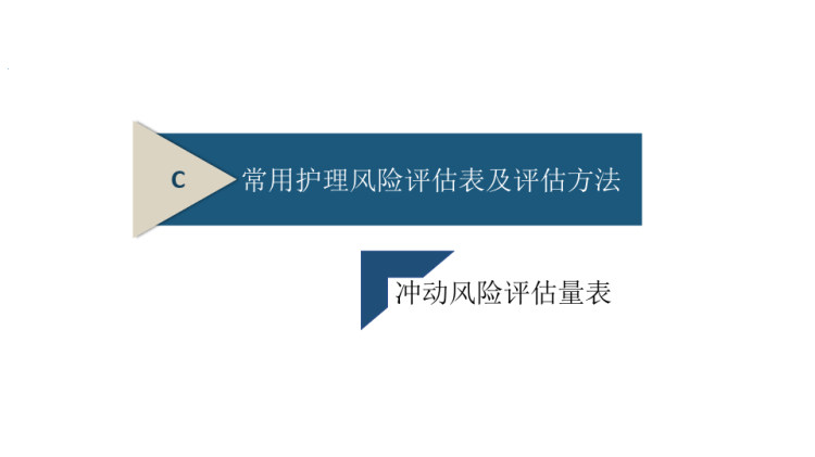 护理风险评估表量表的运用PPT