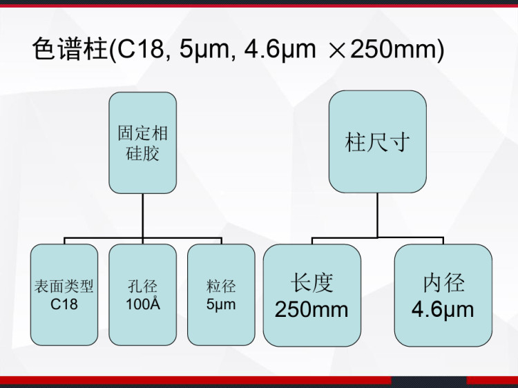 色谱柱的类型与选择PPT