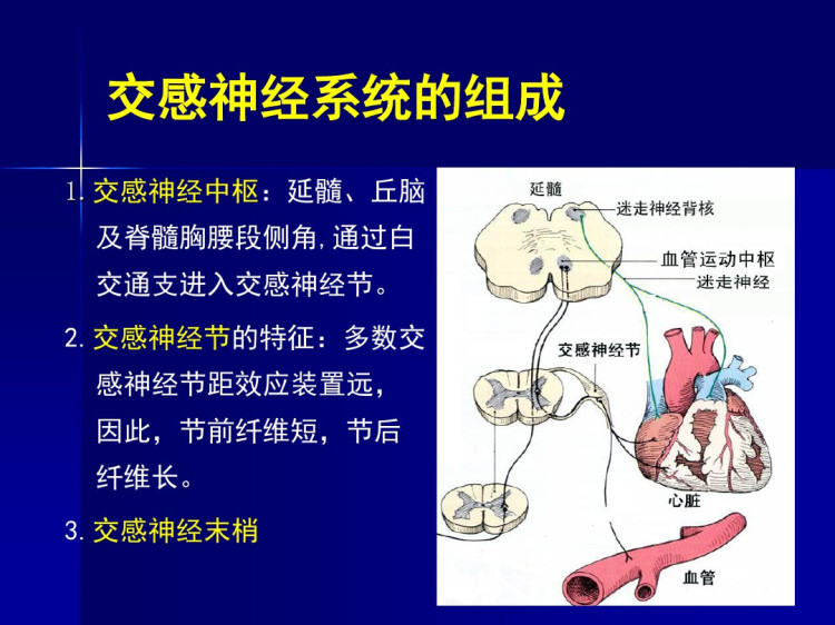 β受体阻滞剂在心力衰竭治疗中的应用PPT