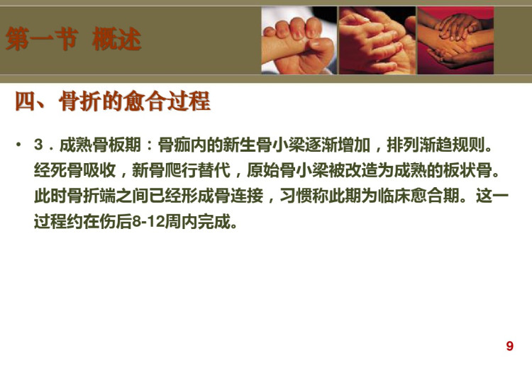 骨折后病人的康复PPT