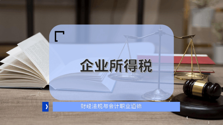 19页企业所得税PPT