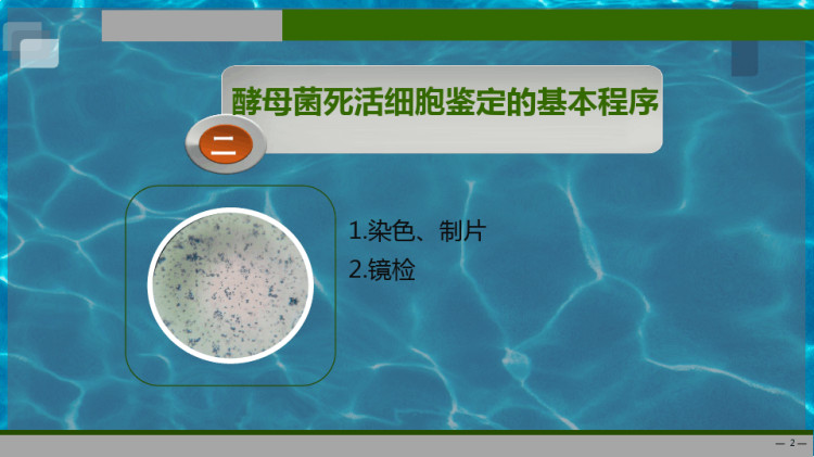 酵母菌死活细胞鉴定PPT