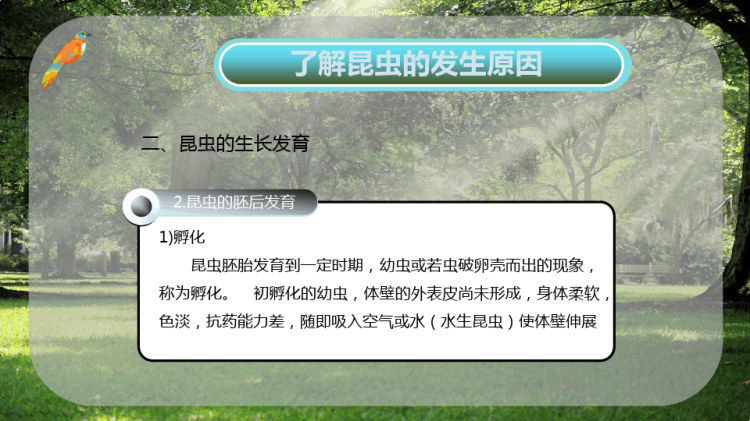 了解昆虫发生原因PPT