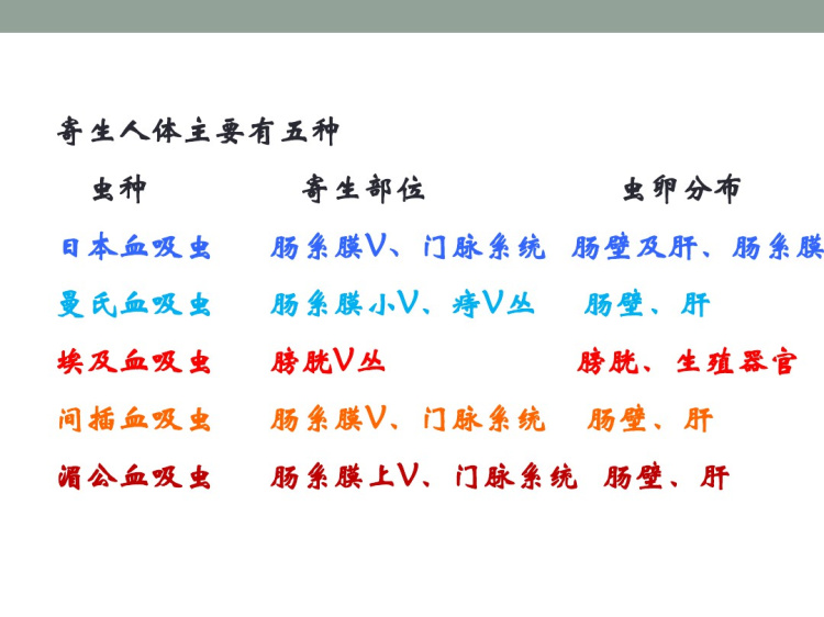 吸虫2寄生虫复旦精品PPT