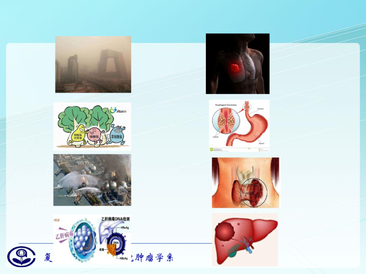 肿瘤学:肿瘤预防复旦精品课程PPT