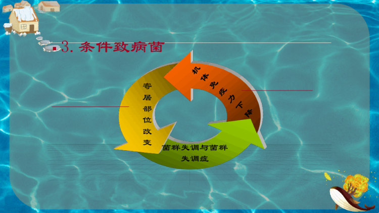 细菌分布PPT