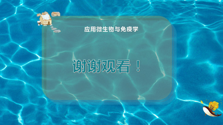 细菌分布PPT