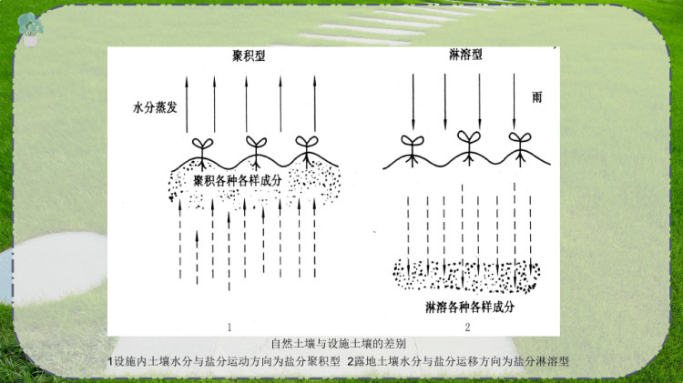 园林植物设施小气候PPT