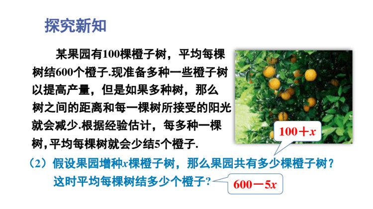 北师大版初中九年级数学下册集体备课教学PPT