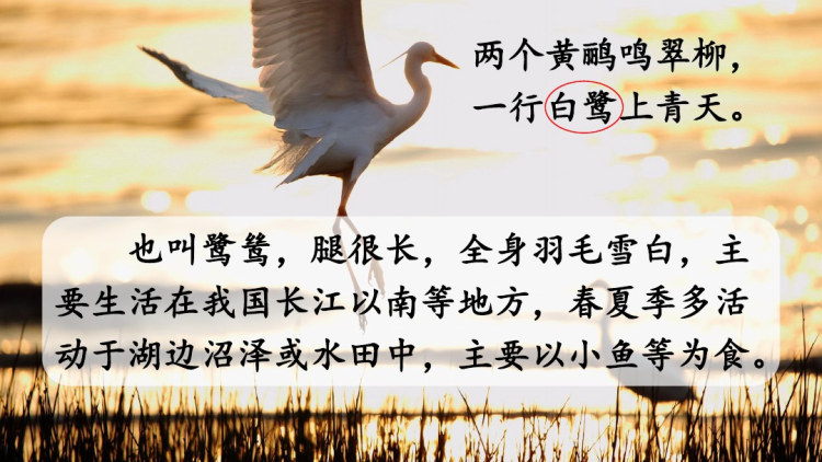 部编版统编版五年级上册语文第一单元教学PPT