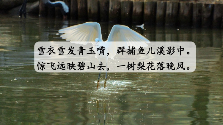 部编版统编版五年级上册语文第一单元教学PPT