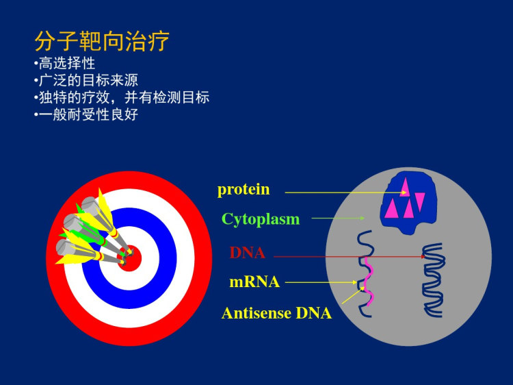 恶性肿瘤分子靶向治疗PPT