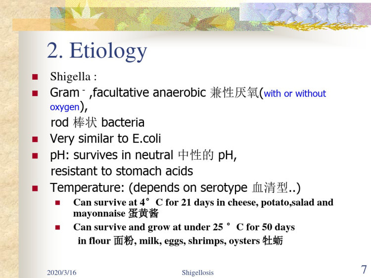 细菌性痢疾YuzeboBacillarydysenteryPPT