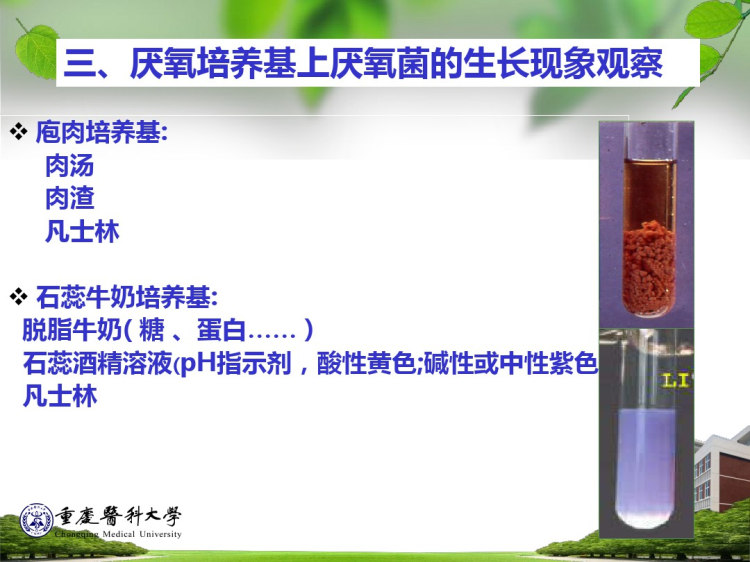 实验5厌氧菌和结核杆菌PPT
