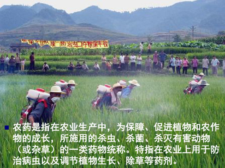 《烹饪卫生与安全学》残留药物禁用物及其控制PPT