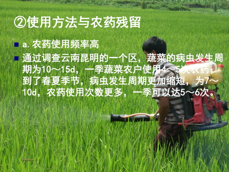 《烹饪卫生与安全学》残留药物禁用物及其控制PPT