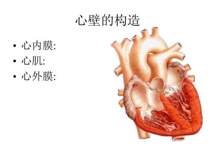 心绞痛与心肌梗死诊断与治疗PPT