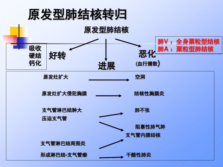 中文版儿童结核病PPT