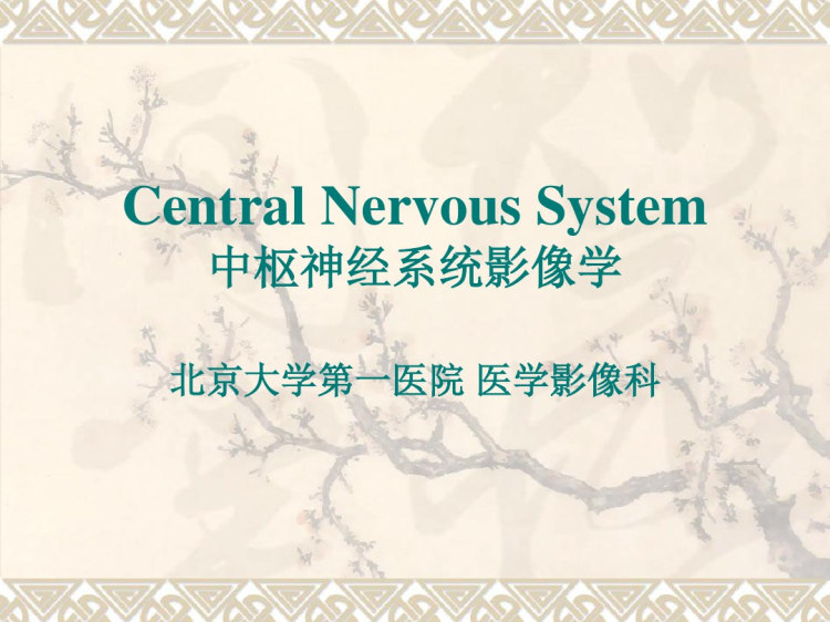 66页中枢神经系统影像学PPT
