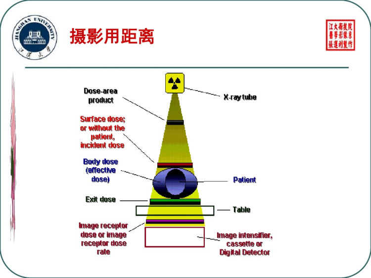 线摄影术语及条件PPT