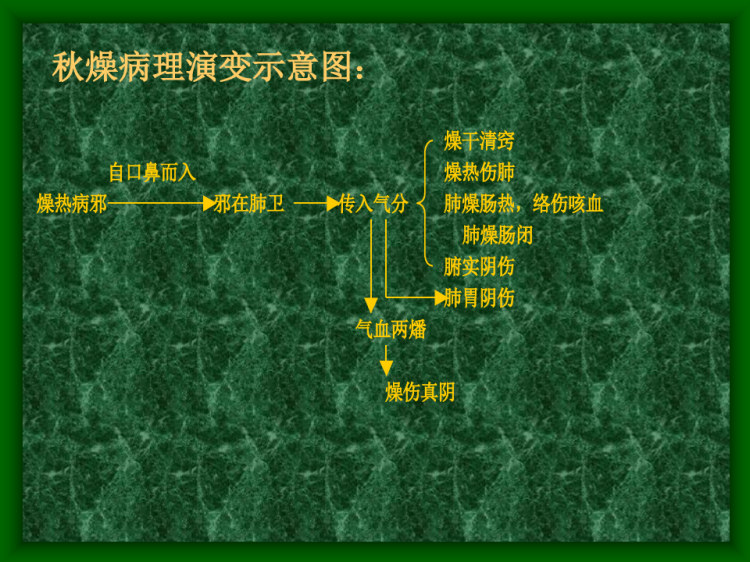 温病学多媒体教学——秋燥PPT