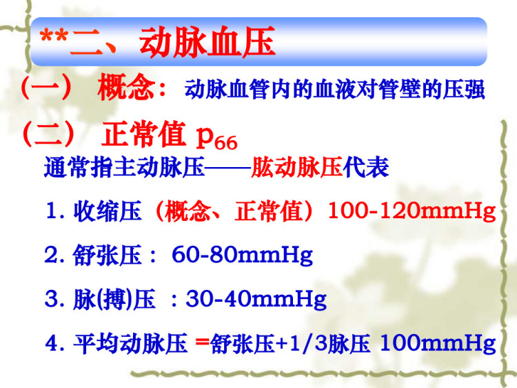 解剖生理学血管生理PPT