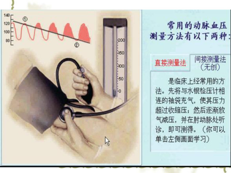 解剖生理学血管生理PPT