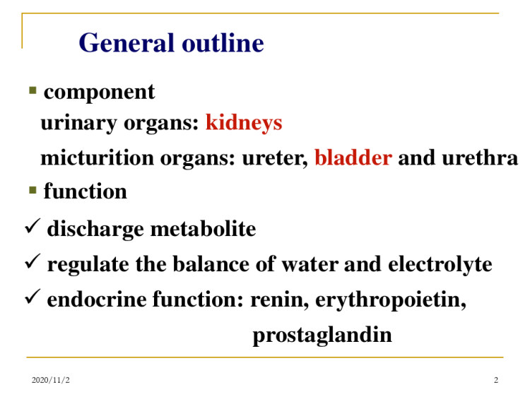 UrinarysystemPPT